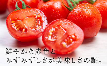 【2026年発送】〈萬福農研〉産地直送！ミニトマト(プレミアムルビー) 2kg