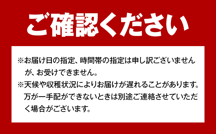 【2025年先行予約】岡山県産 ピオーネ 2房 約500ｇ×2 晴れの国 晴れの国 おかやま館(フルーツランド岡山)《2025年7月中旬-9月中旬頃出荷》岡山県 浅口市 マスカット ぶどう 葡萄 果物