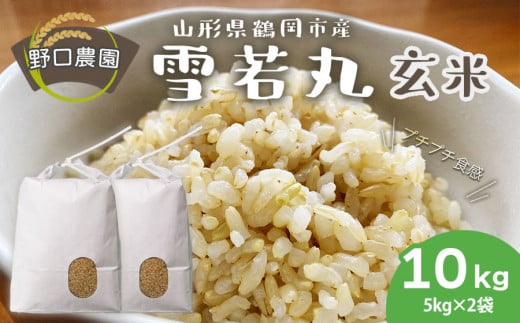 【令和6年産】 雪若丸 玄米 10kg（5kg×2袋）山形県鶴岡市産　野口農園