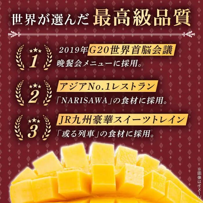 【冷凍】プリンセスマンゴー 約1kg[QAT013] マンゴー