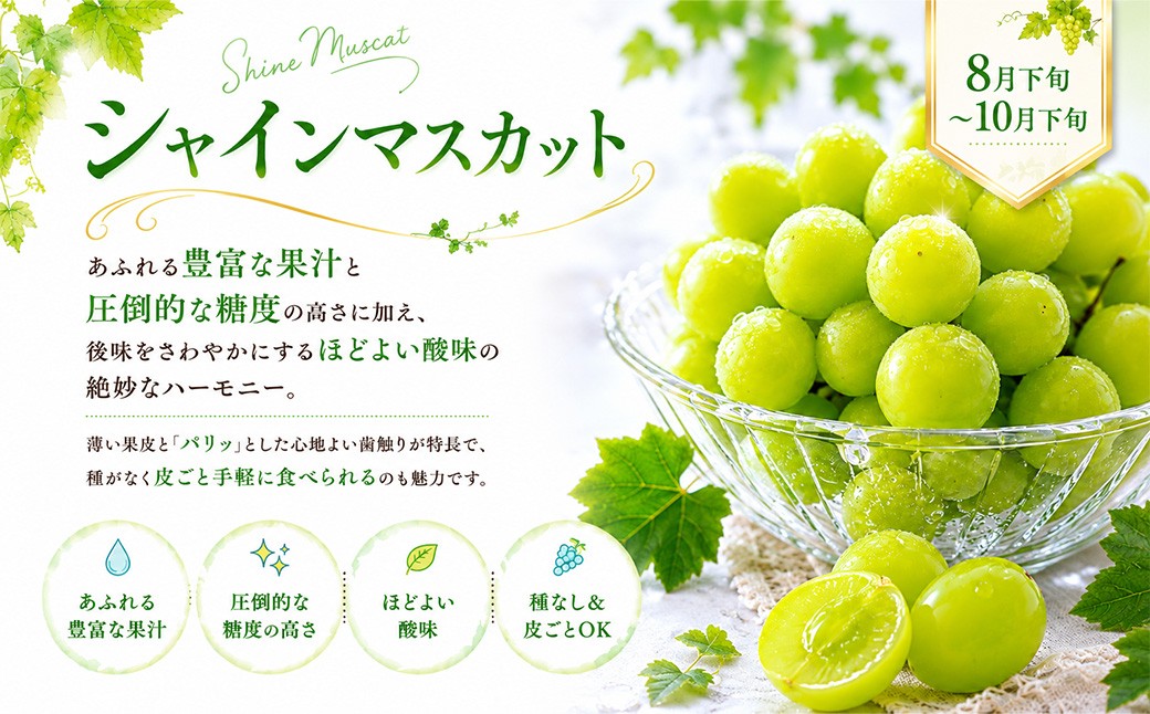 大分県産旬のフルーツ定期便