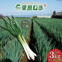 【ふるさと納税】【期間限定発送】 ねぎ 雲仙栗原ねぎ 約300g（3本）×10束 計3kg [栗原ねぎ 長崎県 雲仙市 item1894] ネギ 白ネギ 野菜 10束 3キロ