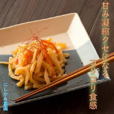 切干大根「だいこんはえらい」100g×8袋【0613】【1446331】