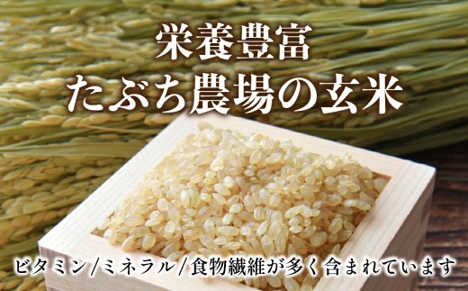 新米予約 令和8年産【特A 減農薬】 玄米 特別栽培米こしひかり 10kg〈5kg x 2袋〉   お米 コシヒカリ 丹波篠山産 コメ こめ お米 こしひかり げんまい ゲンマイ