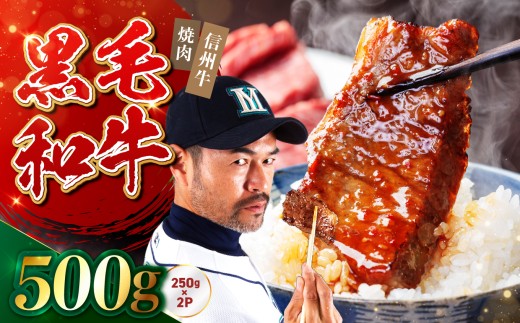 たかどや牧場産 黒毛和牛 信州牛 焼肉 500g ( 250g×2パック ) | 肉 牛肉 黒毛和牛 信州牛 焼肉 三角バラ 長野県 飯田市 信州
