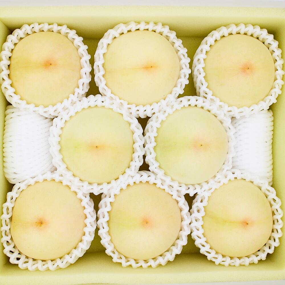 【ふるさと納税】桃 2026年 先行予約 岡山 白桃（晩生種）ご家庭用 約2kg 6～9玉入り もも モモ 岡山県産 国産 フルーツ 果物 直送！せとうちバスケット　 詰合せ 濃厚な甘さ 丁寧 大きい 甘味 ジューシー ギフト【2026年8月下旬 発送予定】
