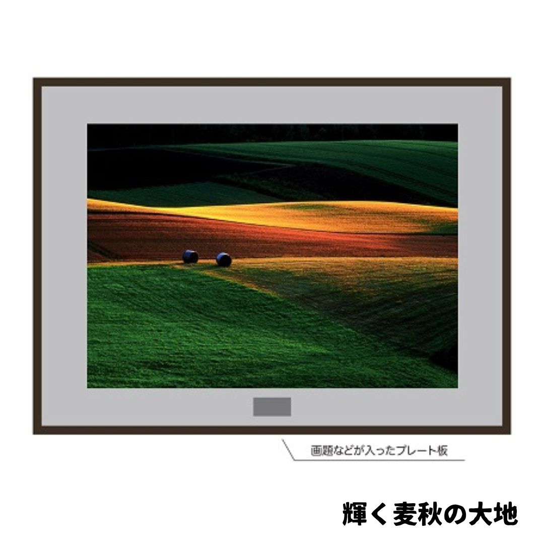 【ふるさと納税】写真家　菊地晴夫　大型額装オリジナルプリント　北海道　北海道美瑛　北海道美瑛町　美瑛町　美瑛　写真[1840-01]