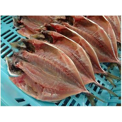 ふるさと納税 唐津市 おさかな村”厳選大あじ干物”8枚セット(約1,800g) |  | 02