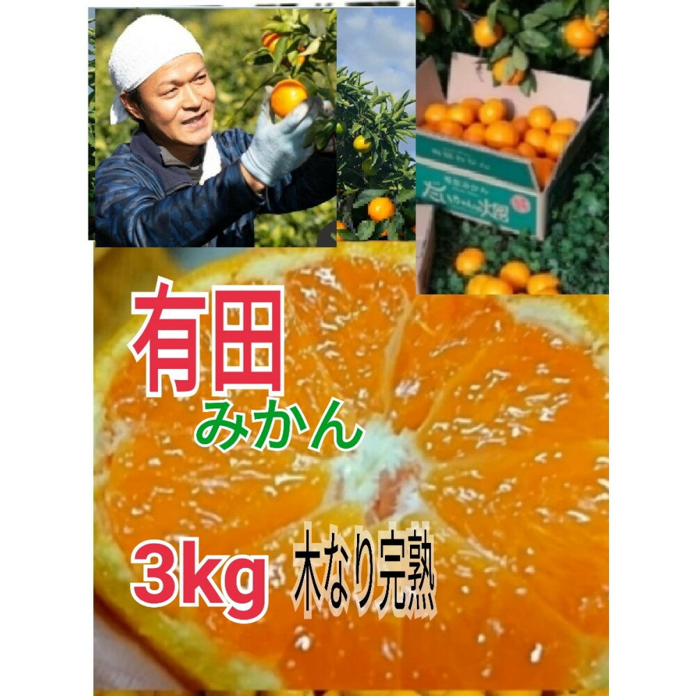 【ふるさと納税】［先行予約］［ご家庭用］有田みかん 3kg （S～2Lサイズミックス）木成り完熟 大ちゃんの畑農園 | フルーツ 果物 くだもの 食品 人気 おすすめ 送料無料