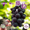 【ふるさと納税】〈2025年先行予約〉爽やかな甘み「山梨県山梨市産のぶどう 藤稔(ふじみのり) 2房 約1kg」【配送不可地域：離島・沖縄県】【1513028】