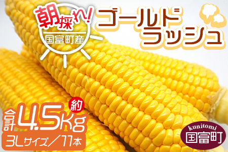 予約受付！＜朝採れ！国富町産ゴールドラッシュ4.5Kg3L11本＞2025年5月下旬～7月上旬迄に順次出荷【 とうもろこし スイートコーン 先行予約 野菜 穀物 甘い トウモロコシ 数量限定 】