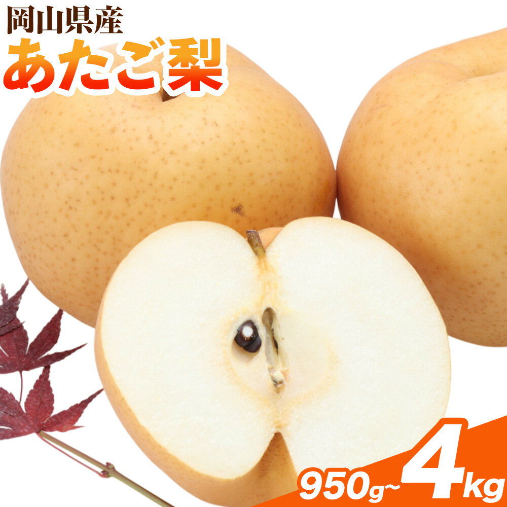 【ふるさと納税】 【先行予約】岡山県産 あたご梨　選べる内容量 大玉2個入り（1玉 950g以上) 3kg 4kg 令和8年産 《11月下旬-12月下旬頃出荷》岡山県 備前市【配送不可地域あり】