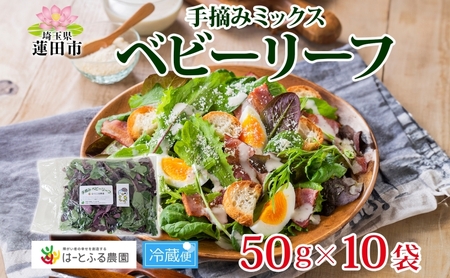 ベビーリーフ 手摘みミックス はーとふる農園国産ベビーリーフ【50g×10袋】