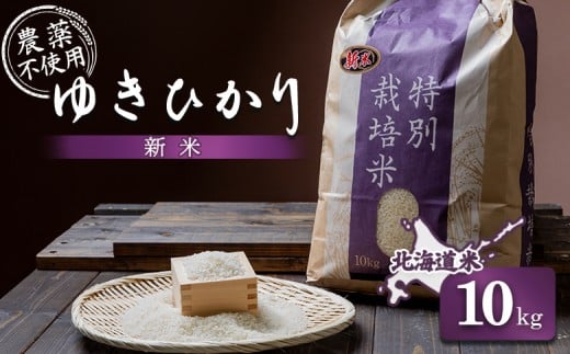 
            【2025年産】 北海道産 ゆきひかり 10kg （無化学肥料・農薬不使用）  | お米 米 白米 精米 ふるさと納税 北海道 オンライン申請 美味しいお米 安心 安全 北海道米 ゆきひかり ご飯 北海道 羽幌町 羽幌 ふるさと納税【25109】
          
