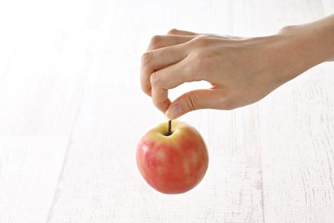 【ＡＮＡ限定】【 11月 中旬】 りんご レア品種 御所川原 約3.5kg（30個） 青森 五所川原【 リンゴ 林檎 果物 フルーツ 】