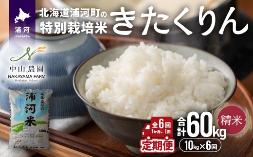 【先行受付開始！】浦河の特別栽培米「きたくりん」精米(10kg×1袋)定期便(全6回)[37-1495]