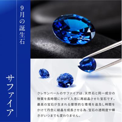 ふるさと納税 京都市 【京セラ】クレサンベール〈サファイア〉ピアス【スタッドタイプ/1.00CT/9月誕生石】 |  | 01