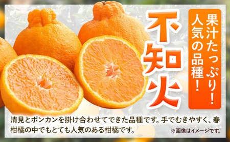 みかん 不知火 ご家庭用 5kg サイズ混合