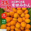 【ふるさと納税】みかん とにかく小玉 箱込 2.5kg～10kg 2Sサイズ以下 秀品 優品 混合 有田みかん 和歌山県産 産地直送 家庭用 【みかんの会】　 | フルーツ 果物 くだもの 食品 人気 おすすめ 送料無料