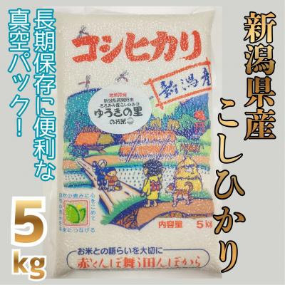 ふるさと納税 阿賀野市 【令和8年産新米先行受付】 阿賀野市 ささかみ産 こしひかり 「ゆうきの里のお米」真空パック 5kg