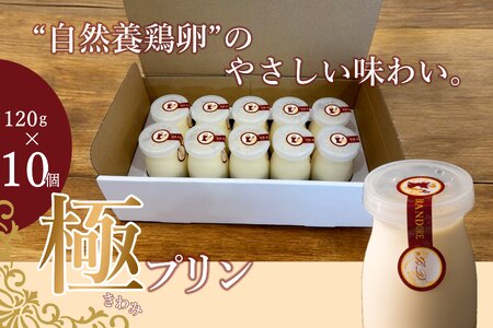 ブランドォレの長井極みプリン10個_E144