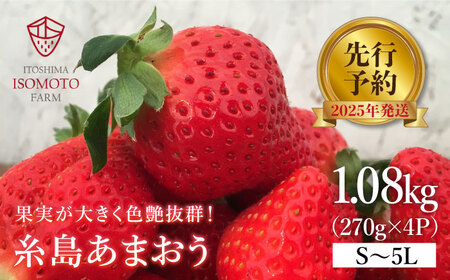 [先行予約*2025年1月より順次発送]  糸島の美味い あまおう 270g × 4パック (A品B品含むS〜5L 糸島市 / 磯本農園 / TANNAL [ATB004] いちご 苺 イチゴ