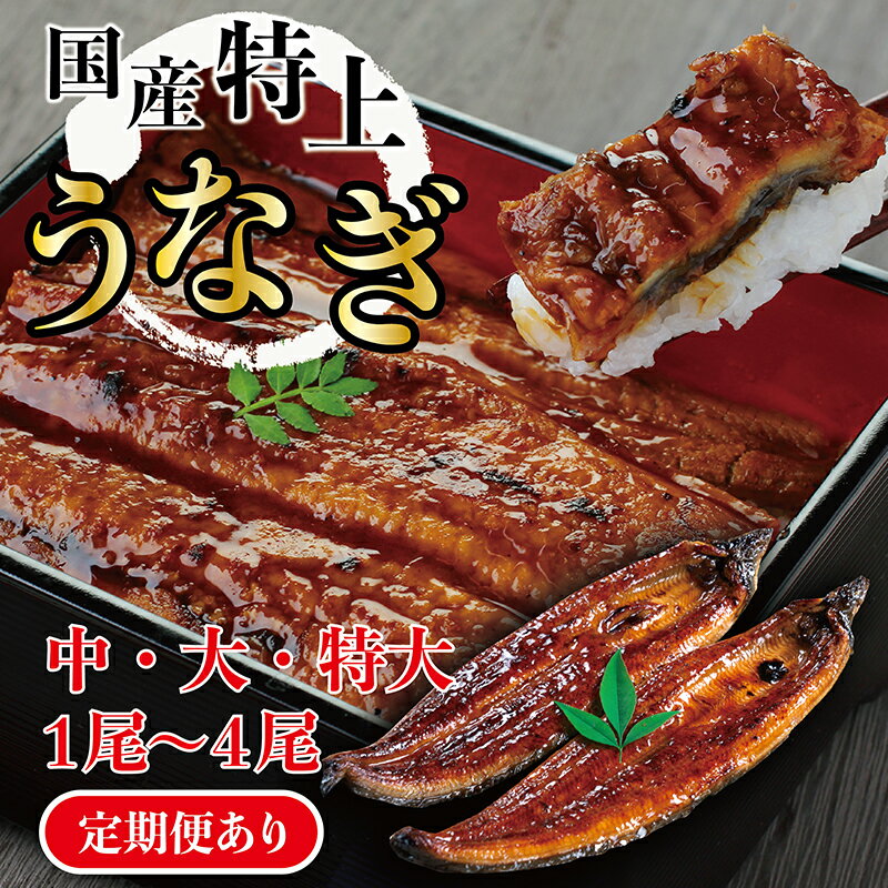 【ふるさと納税】国産 特上 うなぎ の かば焼き 約160g～250g （中サイズ〜特大サイズ）1～4尾 数量選択可能 定期便 送料無料 福井県越前市 蒲焼き 鰻 ウナギ 土用の丑の日（18209）