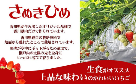 いちご 朝採り さぬきひめ 1kg いちご 苺 苺 配送：2026年1月～