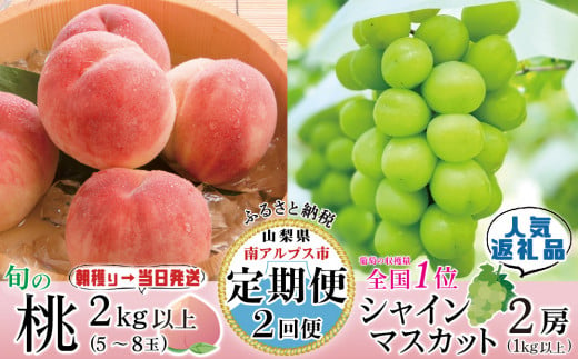 【2025年発送先行予約】山梨県産 定期便2回送り　南アルプスの果物セット ALPAI032