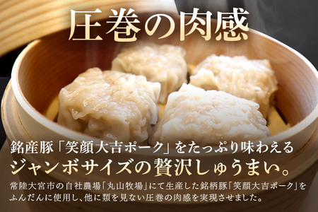 シュウマイ 笑顔大吉ポーク 手づくり 冷凍しゅうまい 1箱20個入 800g 4箱 計80個 【シュウマイ】【ho0896】