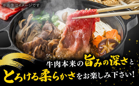 【全12回定期便】【たっぷり大容量！】博多和牛 切り落とし 1000g(500ｇ×2Ｐ）   桂川町/株式会社 MEAT PLUS[ADAQ016]