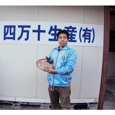 ふるさと納税 四万十町 【2025年5月下旬発送】四万十鮎一夜干しセット　Ess-02 |  | 01