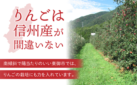 りんご「秋映」3kg 長野県オリジナル品種 ｜JA信州うえだ東部地区営農課 東御市産 ※9月下旬～10月上旬頃お届け予定