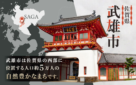 【応援寄附金】佐賀県武雄市 まちづくり応援寄附金 返礼品なし（200,000円分）[UZZ109]