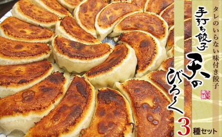 こだわりの手打ち餃子★天のびろく 3種セット＜手打ち餃子のびろく＞ 加工品 惣菜 冷凍 ぎょうざ ギョーザ  北海道千歳市