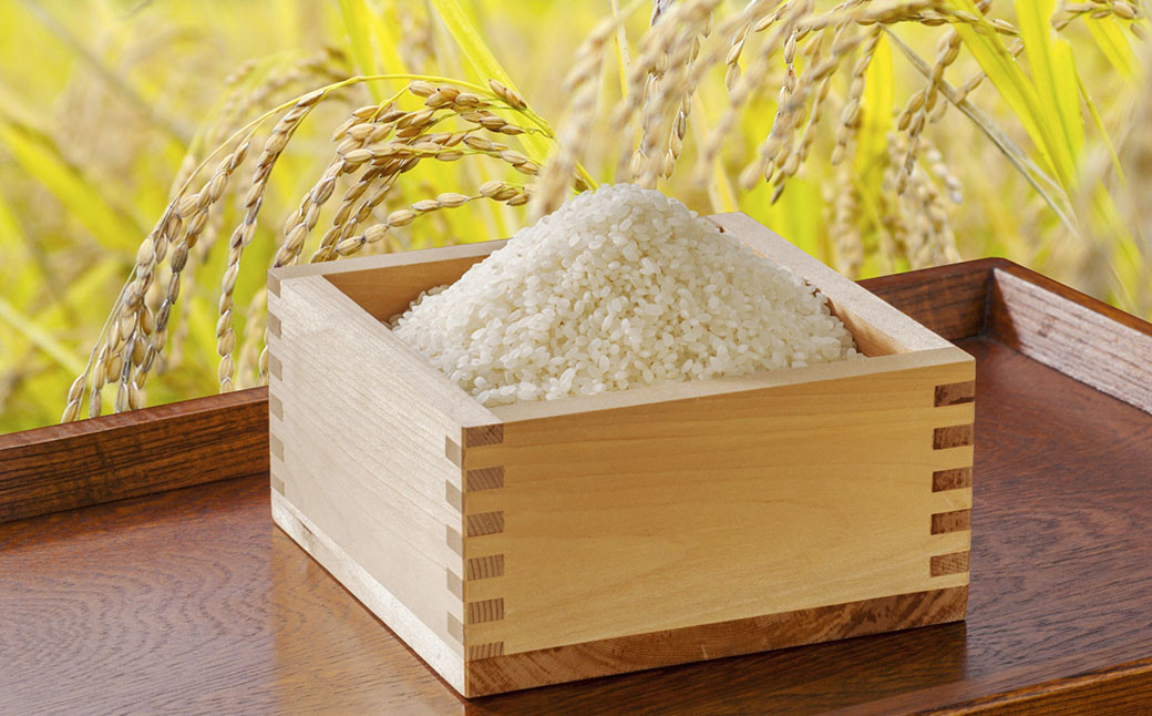【2回定期便】浦臼産ゆめぴりか 精白米 5kg×1袋