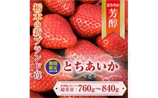 ＼12月末まで 寄附額改定／【先行予約】とちあいか 約380g～420g×2パック | いちご イチゴ 苺 栃木 とちあいか 新種 甘い 糖度 ハート型 フルーツ 果物 スイーツ いちごジャム ギフト 産地直送 ※離島への配送不可 ※2026年1月中旬～3月下旬頃に順次発送予定