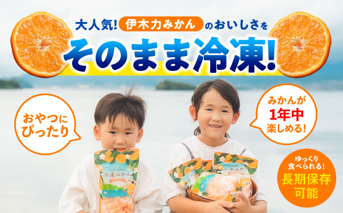 冷凍 伊木力みかん 1.6kg(400g×4袋) / みかん ミカン 蜜柑 冷凍みかん 伊木力みかん 冷凍 / 諫早市 / 山野果樹園 [AHCF006]