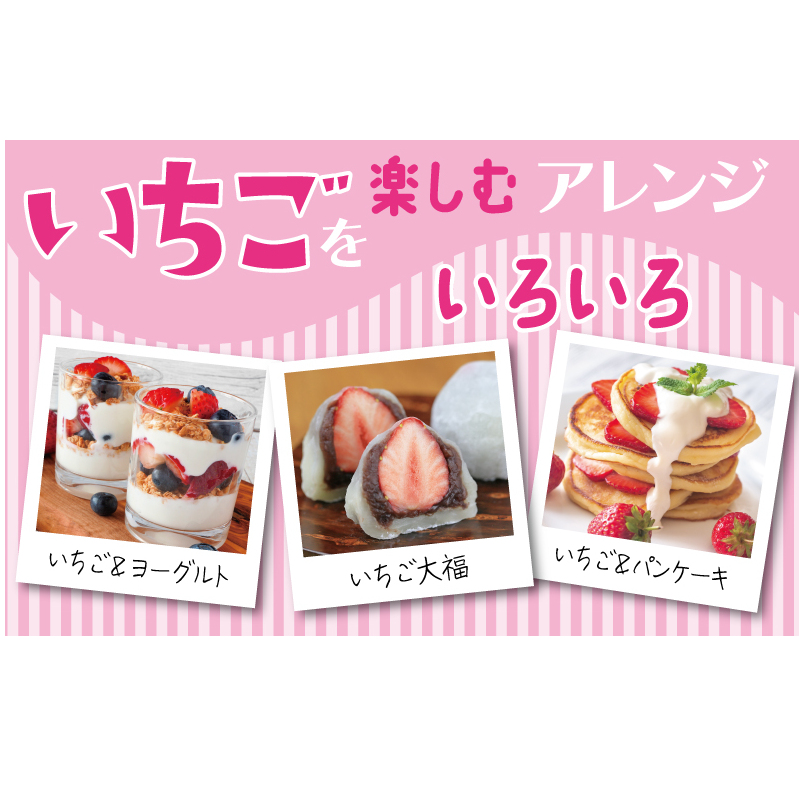 【特別規格】朝摘み完熟いちご 2パック【化粧箱入り 220g×2P 苺 イチゴ フルーツ 果物】 G1631_イメージ4