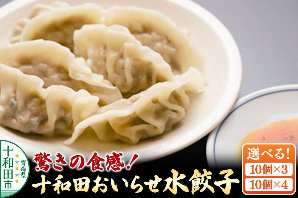 
                  驚きの食感！十和田おいらせ水餃子【選べる内容量：10個入り×3パック／10個入り×4パック】モッチモチ、ツルッツルの食感 [プレミアムにんにく 奥入瀬ガーリックポーク 青森県産 ぎょうざ 惣菜 レトルト]
                