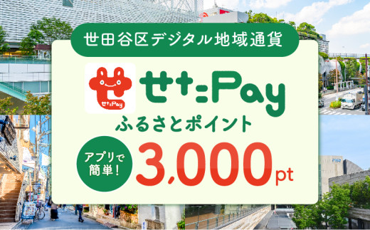 世田谷区 地域限定通貨「せたがやPay」 ふるさとポイント3,000pt（1pt＝1円）3,000円分 せたぺい デジタル地域通貨 電子決済 キャッシュレス 飲食 宿泊 体験 電子通貨 東京都 世田谷