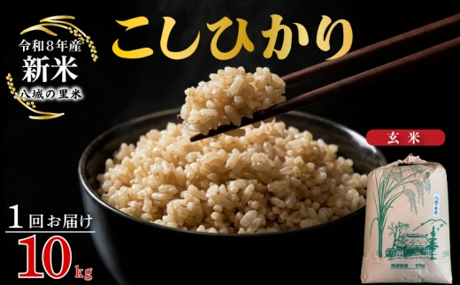 【令和8年産先行予約】【1回お届け】こしひかり 玄米 10kg