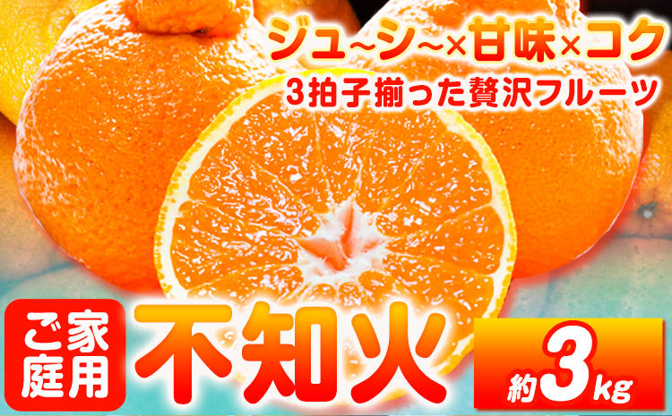 【ご家庭用】紀州有田産 不知火 ( しらぬひ )  約3kg 魚鶴商店 《2026年2月中旬-3月中旬頃出荷》 和歌山県 日高町 不知火 柑橘 果物 フルーツ デコポンと同品種 訳あり不知火 訳ありデコポン 訳あり 送料無料