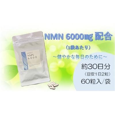 ふるさと納税 藤井寺市 NMN6000