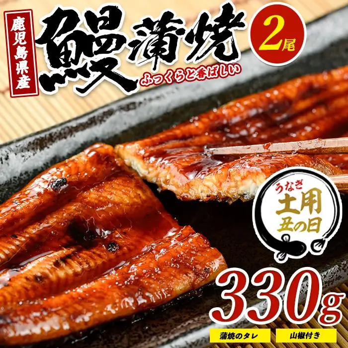 【丑の日に合わせてお届け！】鹿児島県産鰻の蒲焼(無頭背開き)約165g×2尾(山中水産/IB022-001u)うなぎ 国産