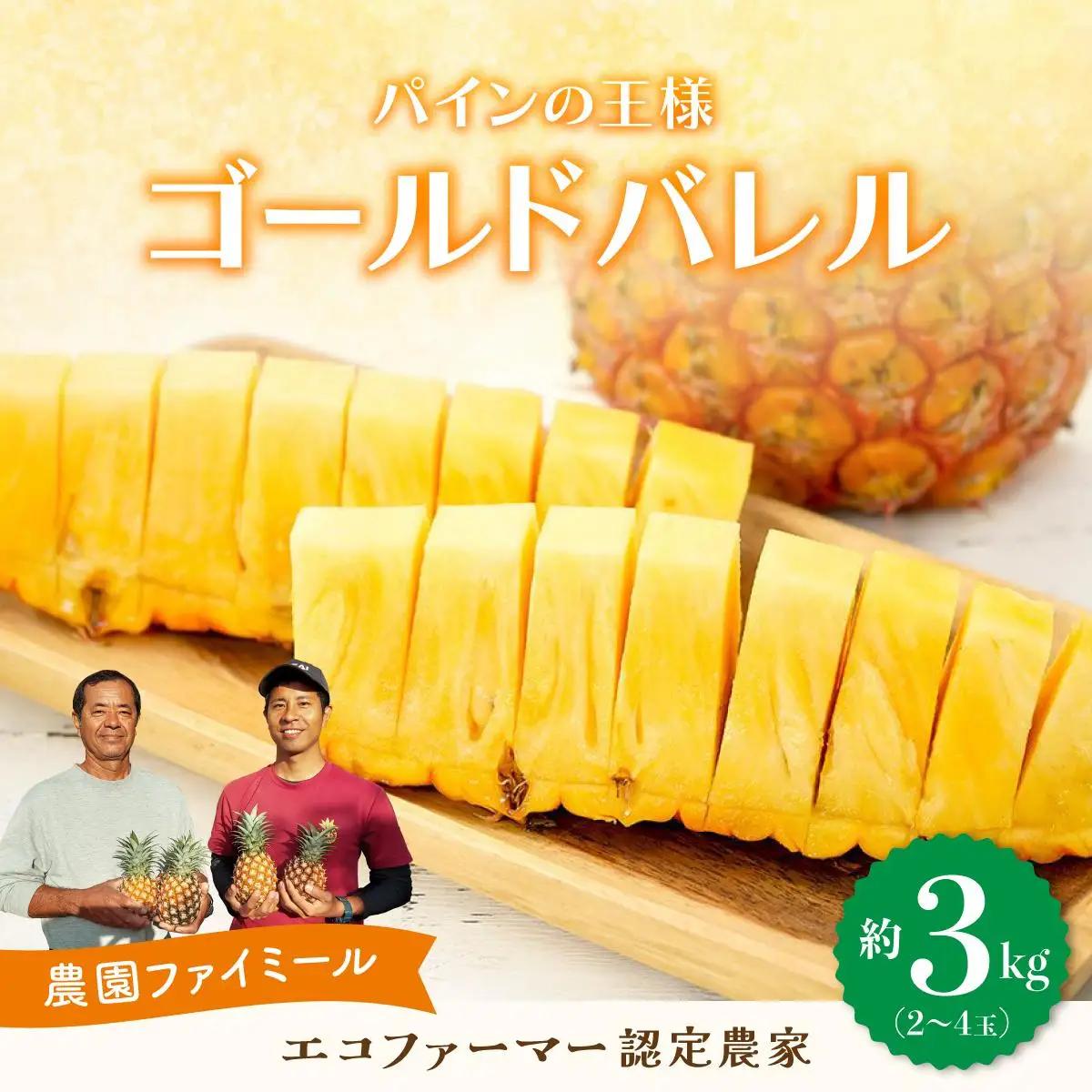2026年 先行予約 完熟 ゴールドバレル 約3kg 2～4玉入り 最高級 パイン 果物 フルーツ