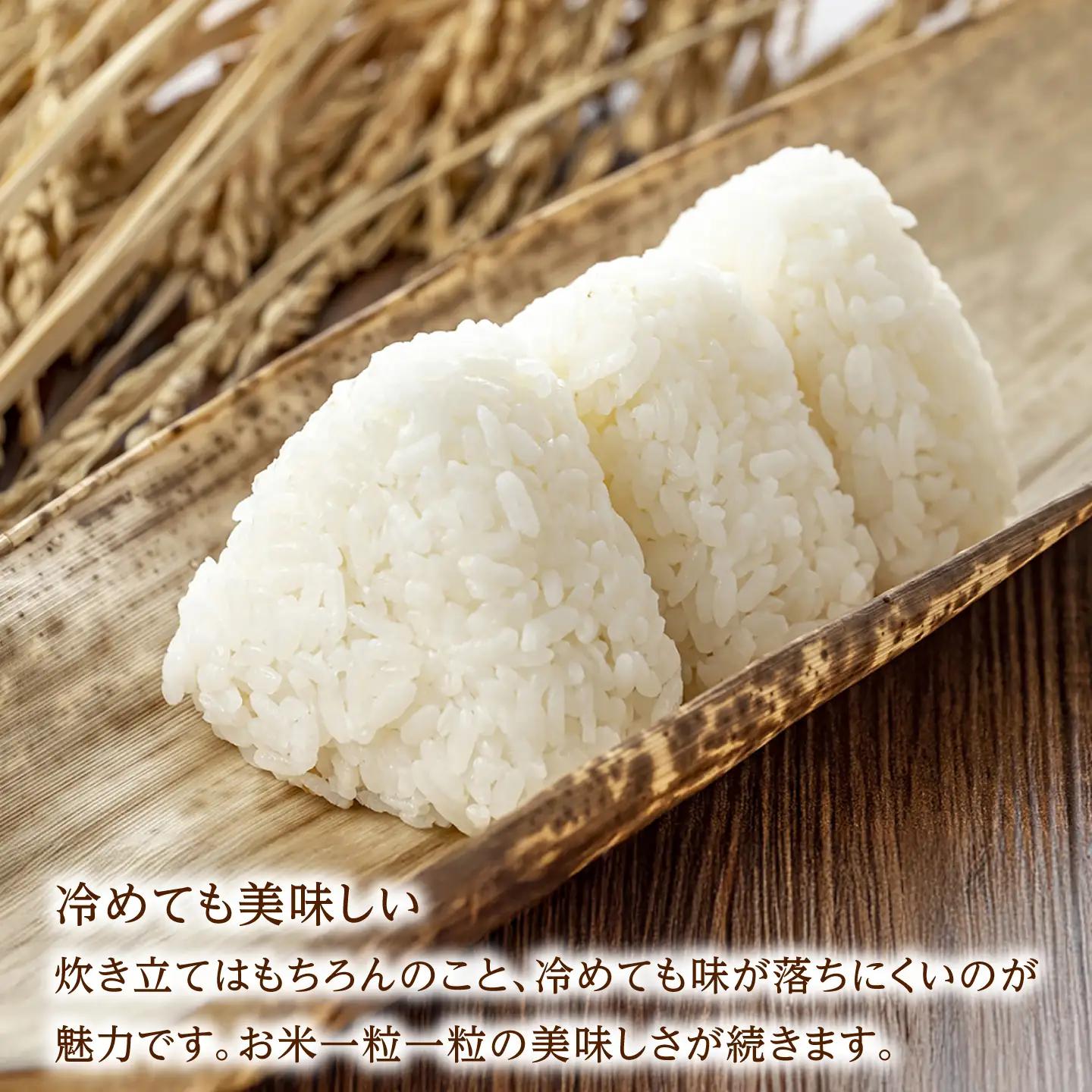 令和7年産 ゆめしずく5kg 白米 / 佐賀県 白米 [41AGAC002]