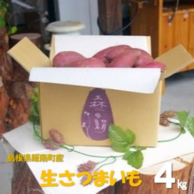 高糖度サツマイモ「森の絹」生イモ(4kg)