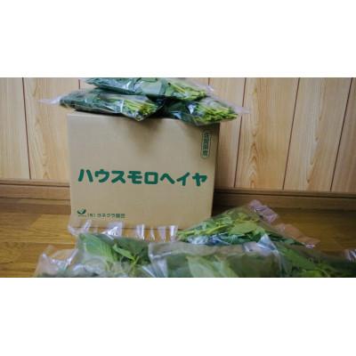 ふるさと納税 唐津市 佐賀県産　冬穫れハウスモロヘイヤ　3kg(100g×10袋×3箱)
