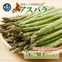 【ふるさと納税】伊達【木須農園】の採れたてグリーンアスパラ約1kg　【アスパラガス・野菜】　お届け：2024年5月中旬～6月下旬まで